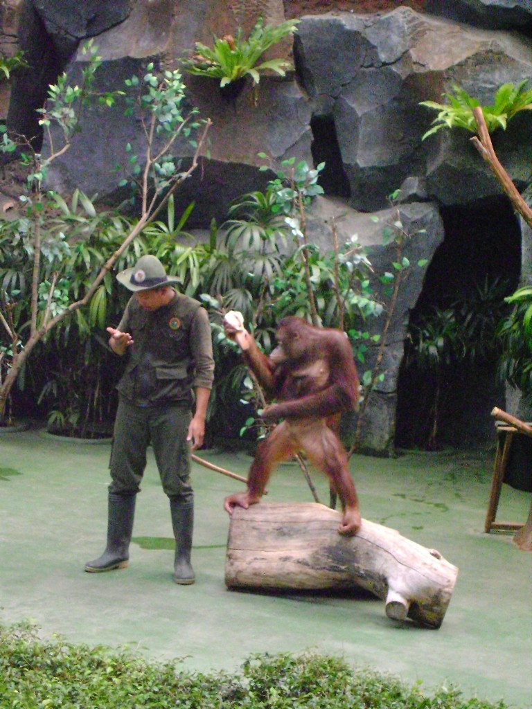 Taman Safari Indonesia II Prigen Tiwied